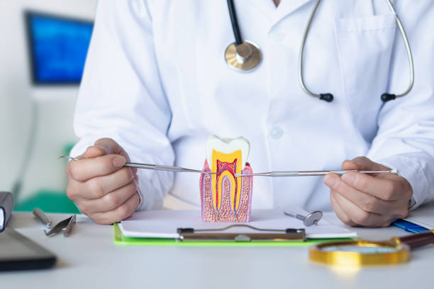 Best Urgent Dental Care for Toothaches in River Rouge, MI